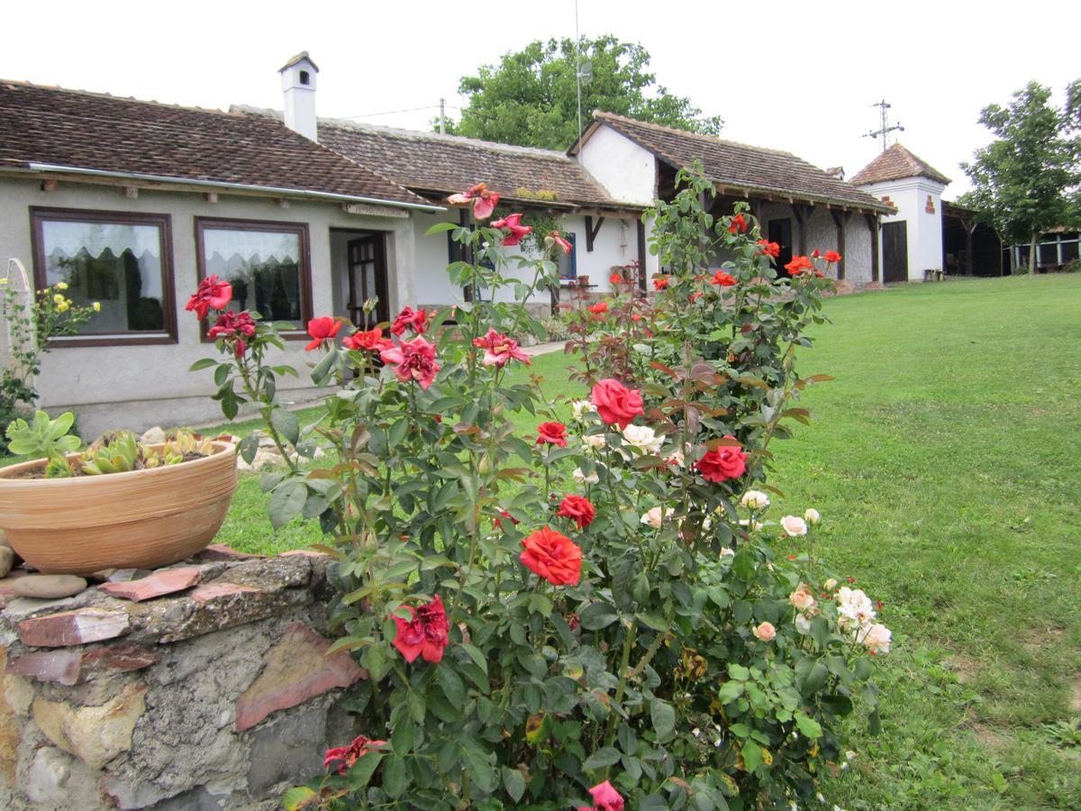 Guest House Vila Albedo Varna Екстер'єр фото