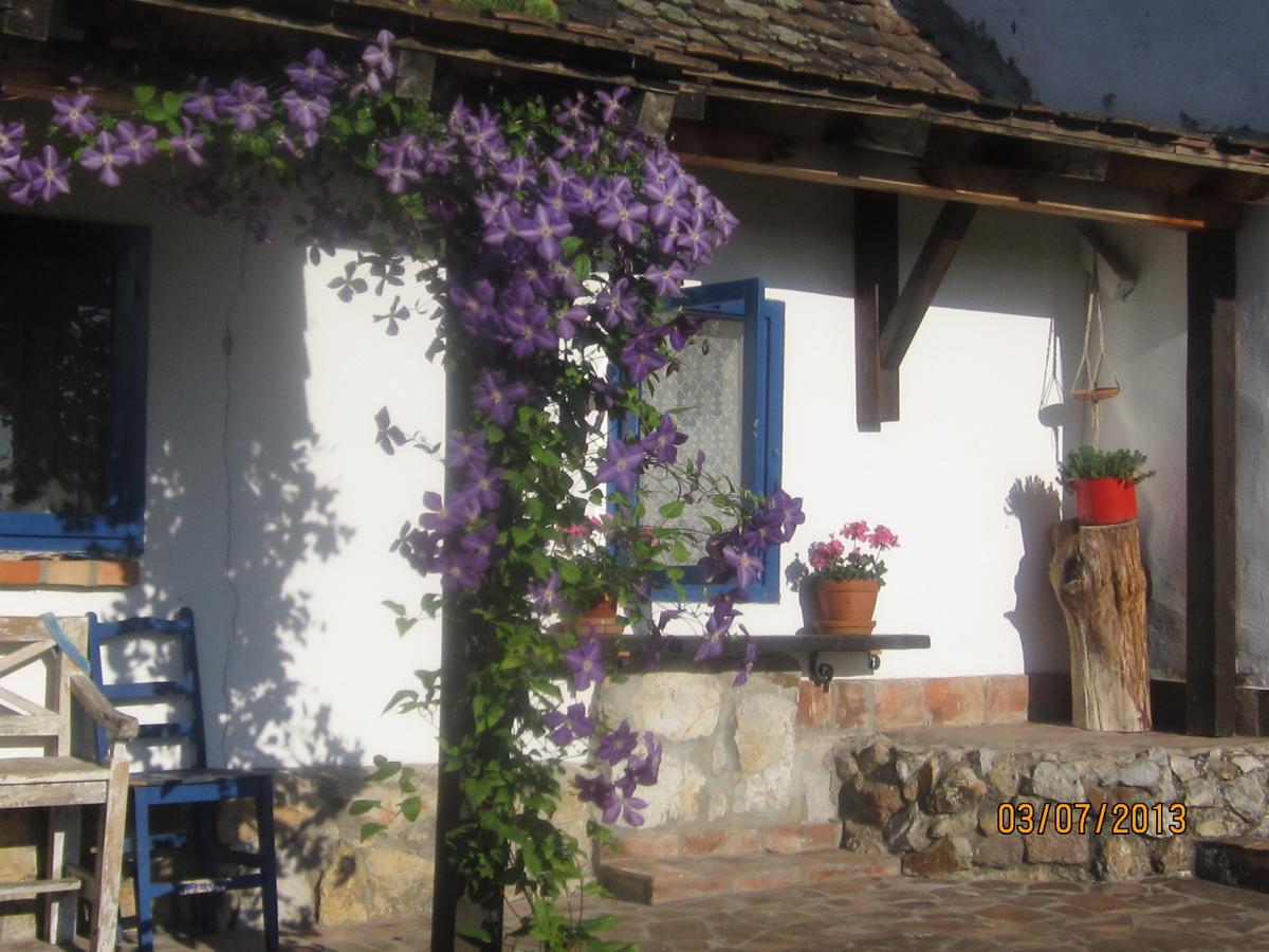 Guest House Vila Albedo Varna Екстер'єр фото
